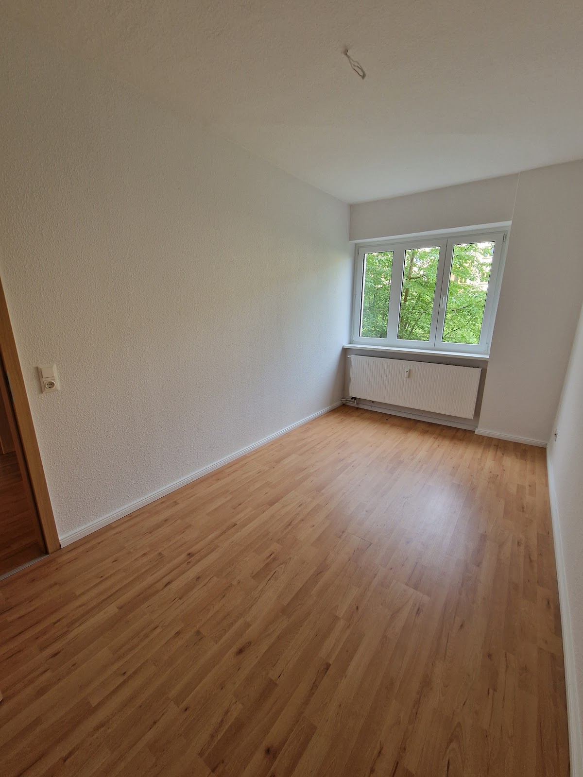 Zimmer3