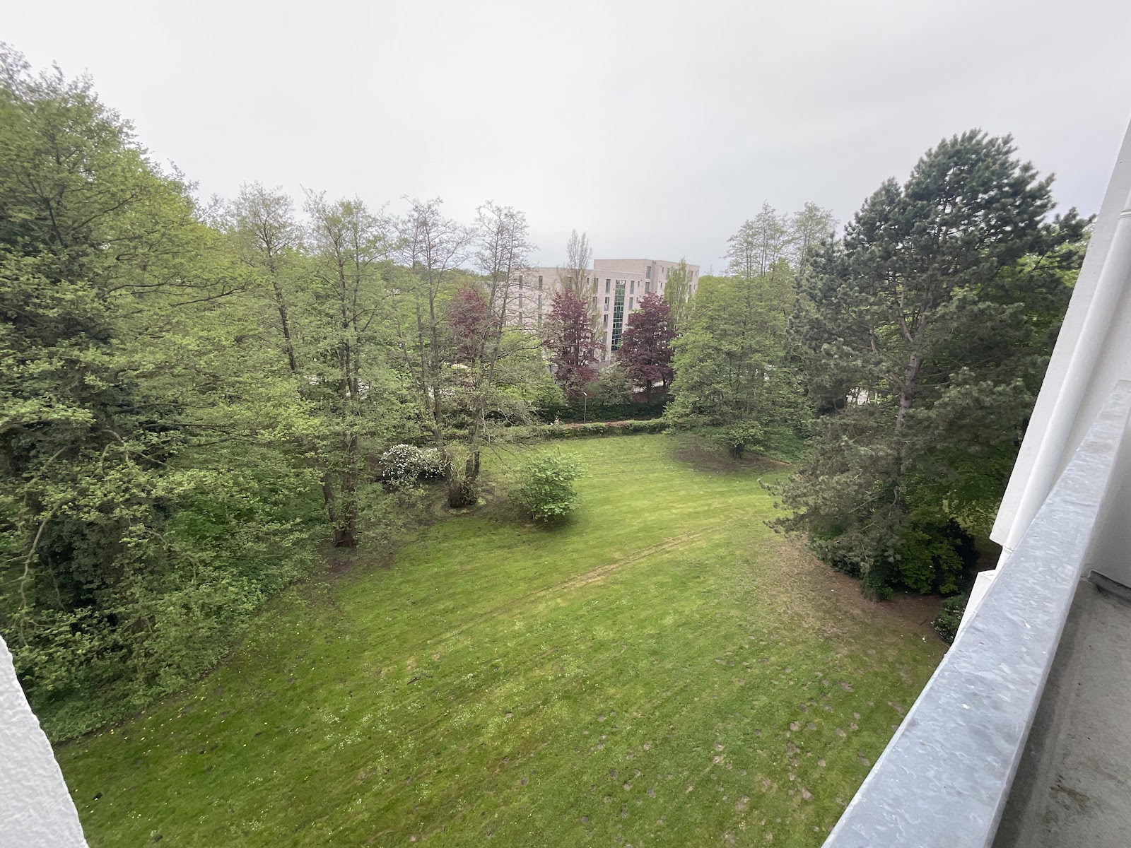 Aussicht vom Balkon